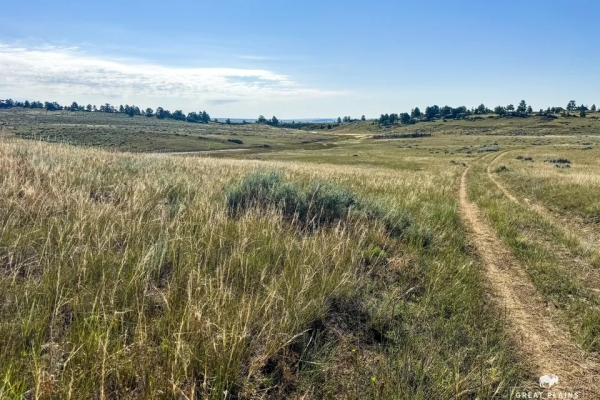 Map of Jessie Road Ranch: 1546 acres NW of Ryegate