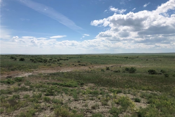 Map of 640 Acres Treasure County: 640 acres NW of Forsyth