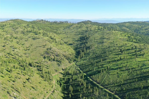 Map of 1,2,3,16 Garnet Range: 636 acres NW of Drummond