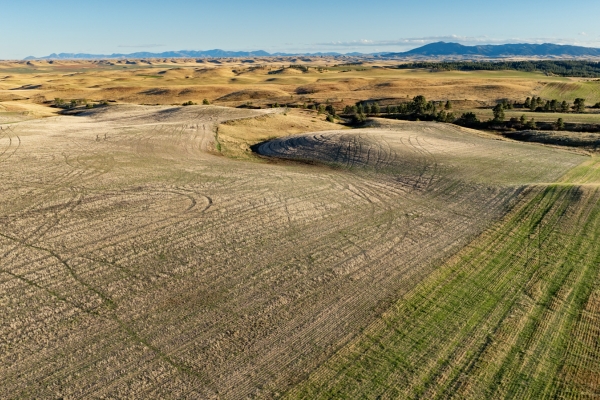 Salt Creek Ranch