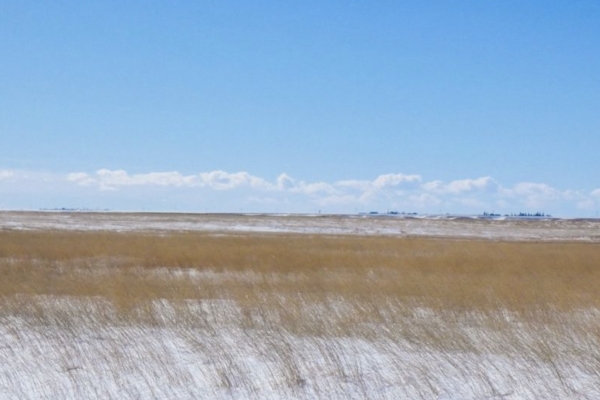 Northeast Montana Dryland Farm