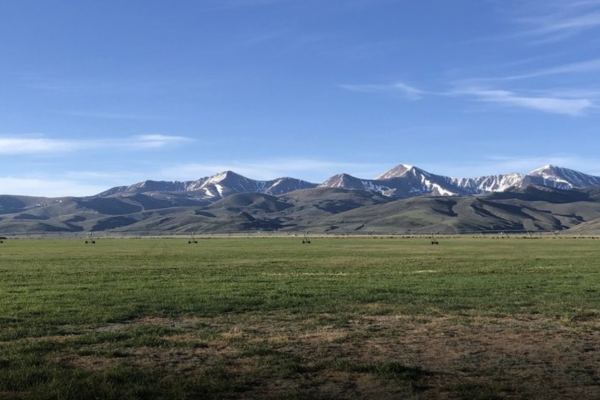 Chute Canyon Ranch - West Ranch
