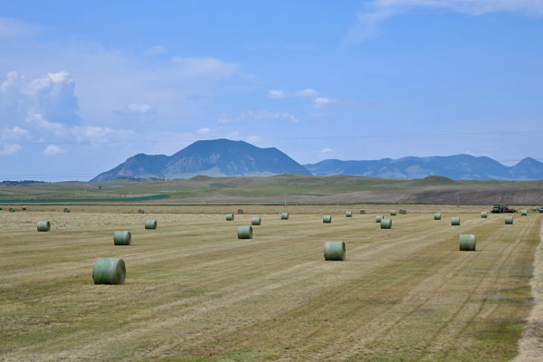 Bear Creek Ranch Grass Range
