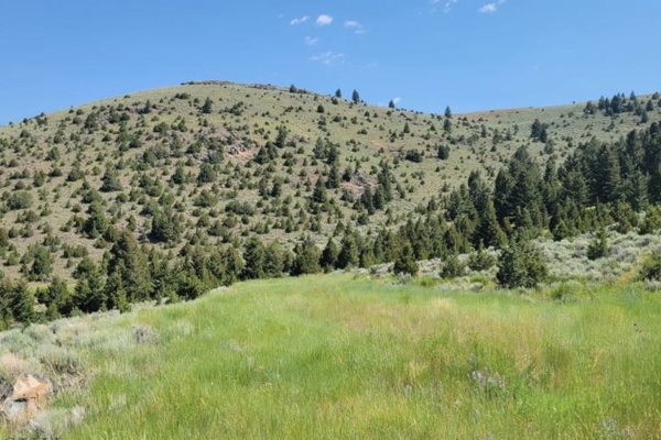 245.7 Acres Private Road off MT Hwy 287