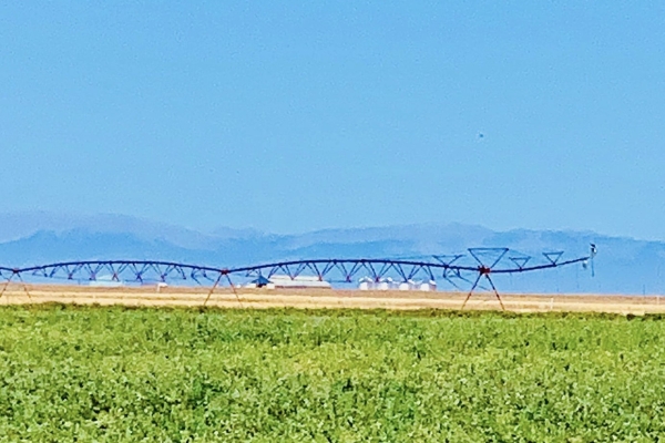 Teton County Montana Irrigated Farm