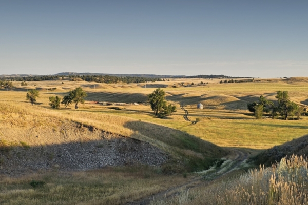Yellowstone Wildlife Refuge
