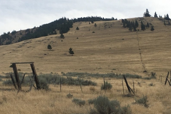 Map of Wilks Gulch Road: 222.89 acres SE of Hot Springs