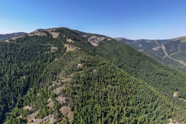 Map of NF 2300 Road: 207 acres South of Libby
