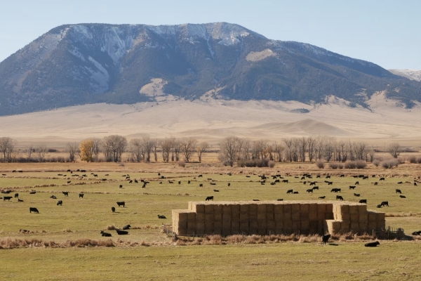 Map of Wolfe Hereford Red Rock River Ranch: 840 acres South of Dillon