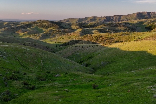 Susie Creek Homestead