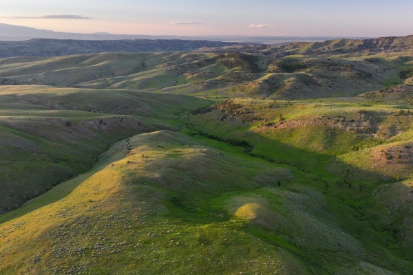 Susie Creek Homestead