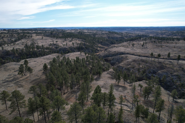 Map of The Breaks Hunting Camp East Unit: 640 acres NE of Winnett