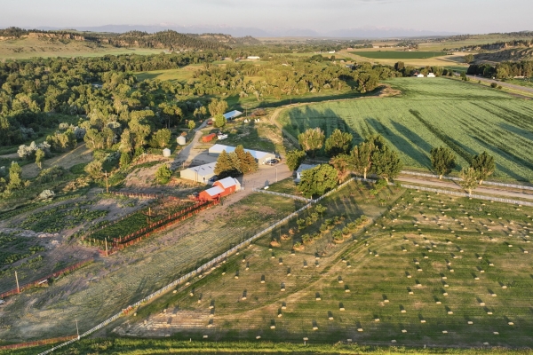 Map of Three Eagles Farm on Rock Creek: 98 acres East of Joliet