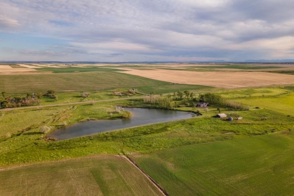Auction -  Productive Irrigated Tillable Farm with Custom Home & Water Shares 