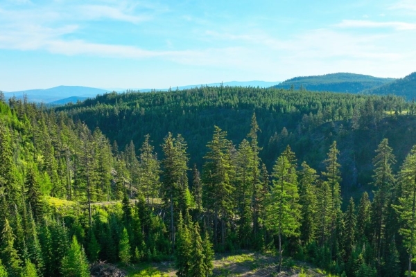 Map of Two Creeks Tract: 252 acres West of Kalispell