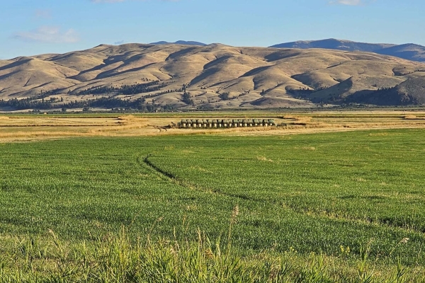 Map of Canyon Creek Ranch: 5887 acres NW of Helena