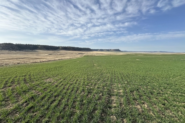 Map of Pine Butte Ranch: 1544 acres SE of Ryegate