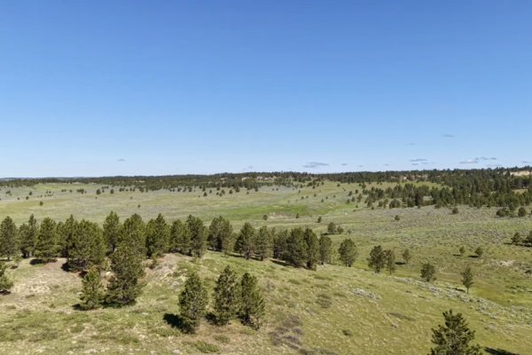 Map of Newton Grove: 1186 acres NW of Custer