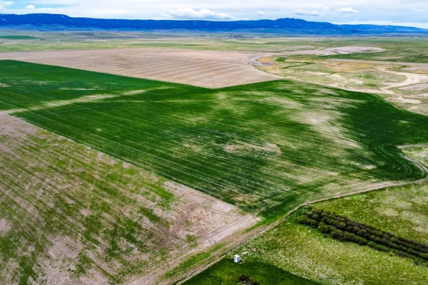 Map of Central Montana Farm Ground, Investment near Lewistown, MT: 720 acres NW of Judith Gap