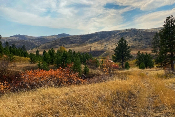 Four Creeks Sporting Ranch