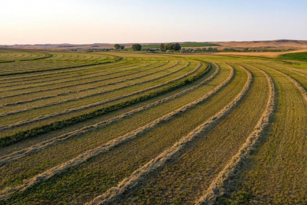 Yellowstone River Farm