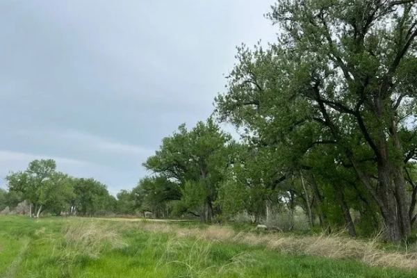 Map of Yellowstone River Recreation: 230 acres West of Pompeys Pillar
