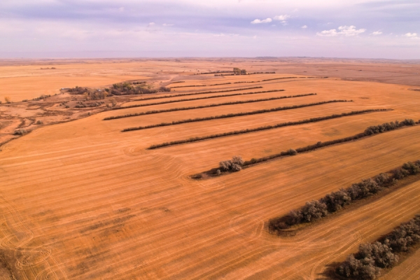 Map of Prairie Pheasant Farm: 508 acres East of Froid
