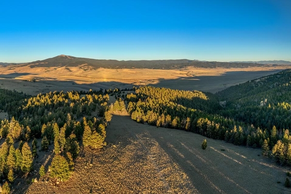 Curly Gulch Ranch