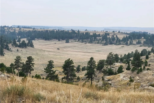 Map of Skyway Drive: 544 acres NW of Billings