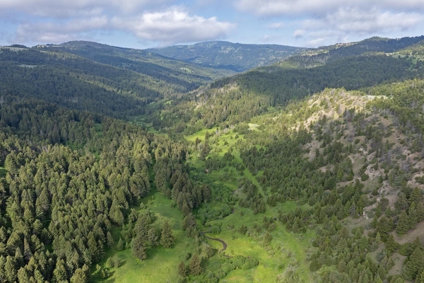 Map of Bangtail Creek Ranch: 1522 acres NW of Livingston