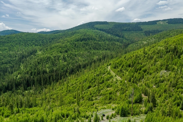 Map of Fish Creek Road: 640 acres NW of Kalispell