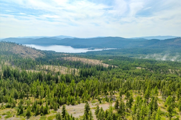 Map of Griffin Creek Road - 867 Acres: 867 acres NW of Marion