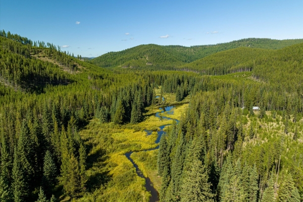 Logan Creek Road