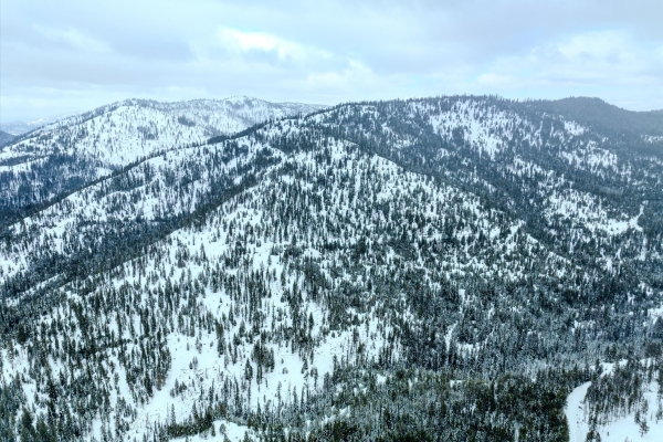 Map of McGinnis Meadows - Bayhorse Road Section 1: 640 acres SE of Libby