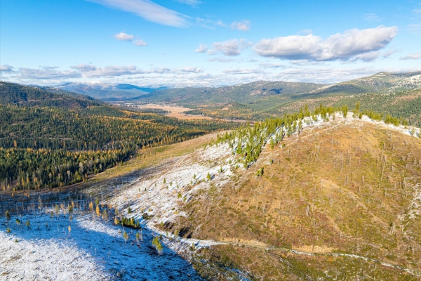 Map of McGinnis Meadows - Bayhorse Road Section 5: 640 acres SE of Libby