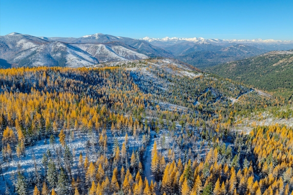 Map of McGinnis Meadows - Bayhorse Road Section 7: 640 acres SE of Libby