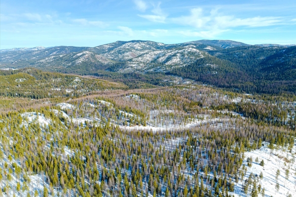 Map of McGinnis Meadows - Fishtrap Road Section 9: 640 acres SE of Libby