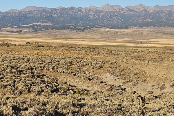 Shields Valley View Ranch