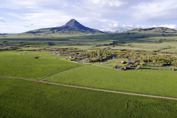 LF Ranch