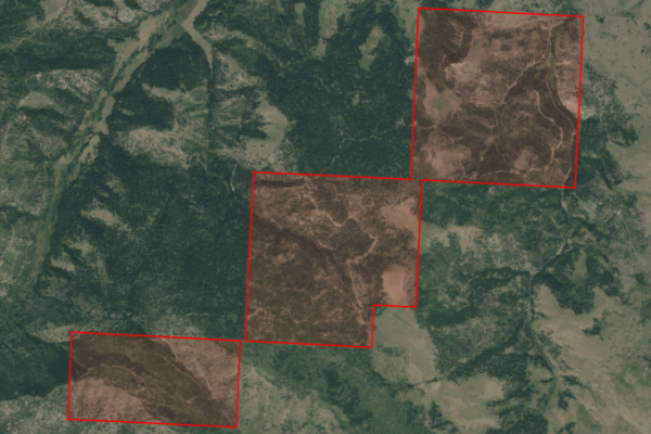 Map of 1,2,3,4,5,6,7,10,11 Tract Bull Elk: 1559.75 acres West of Drummond