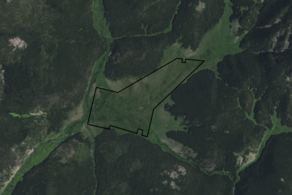 Map of Clemow Cow Camp: 316.9 acres NE of Jackson