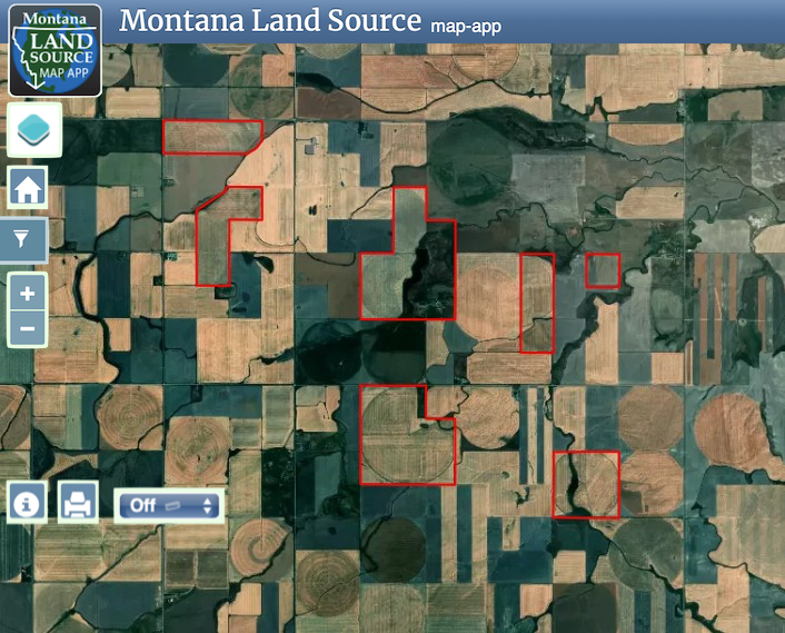 Buena Vista Road map image
